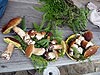 porcini