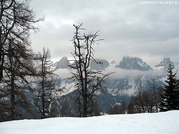 vista dalla Record della Cess