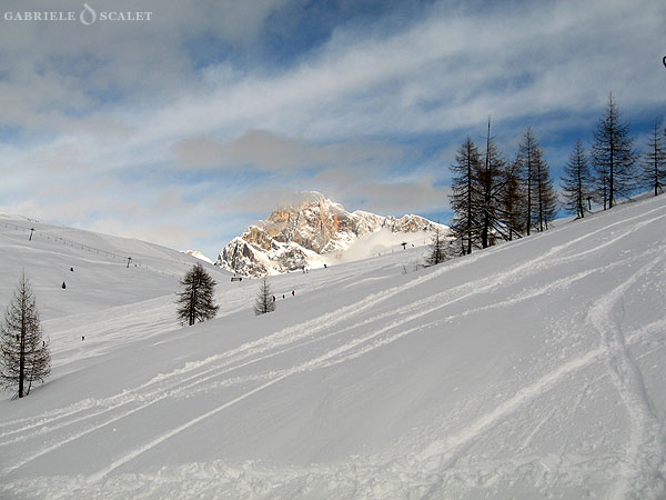 cimone Tognola