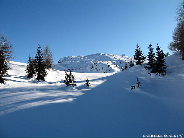 Paneveggio innevato
