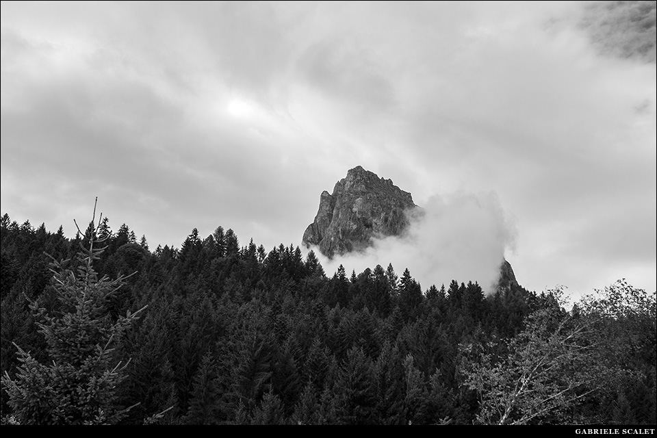 Montagna bosco