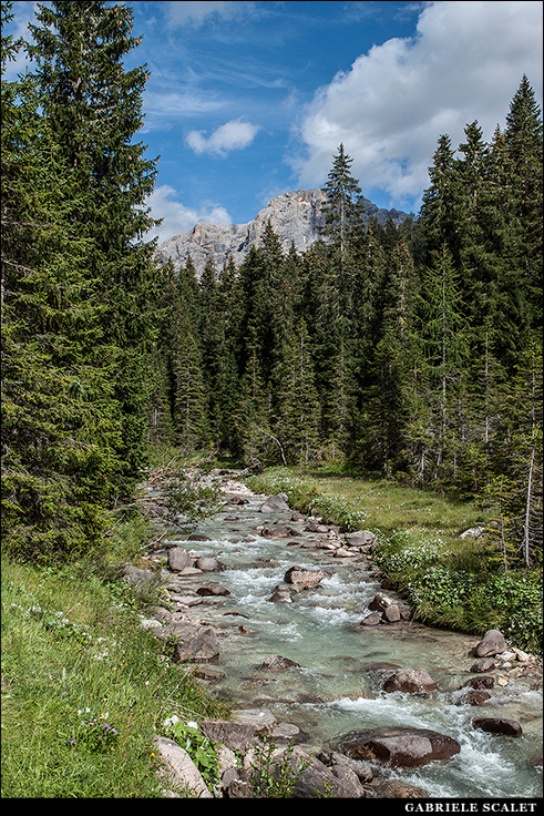 Val Venegia / Venegiota