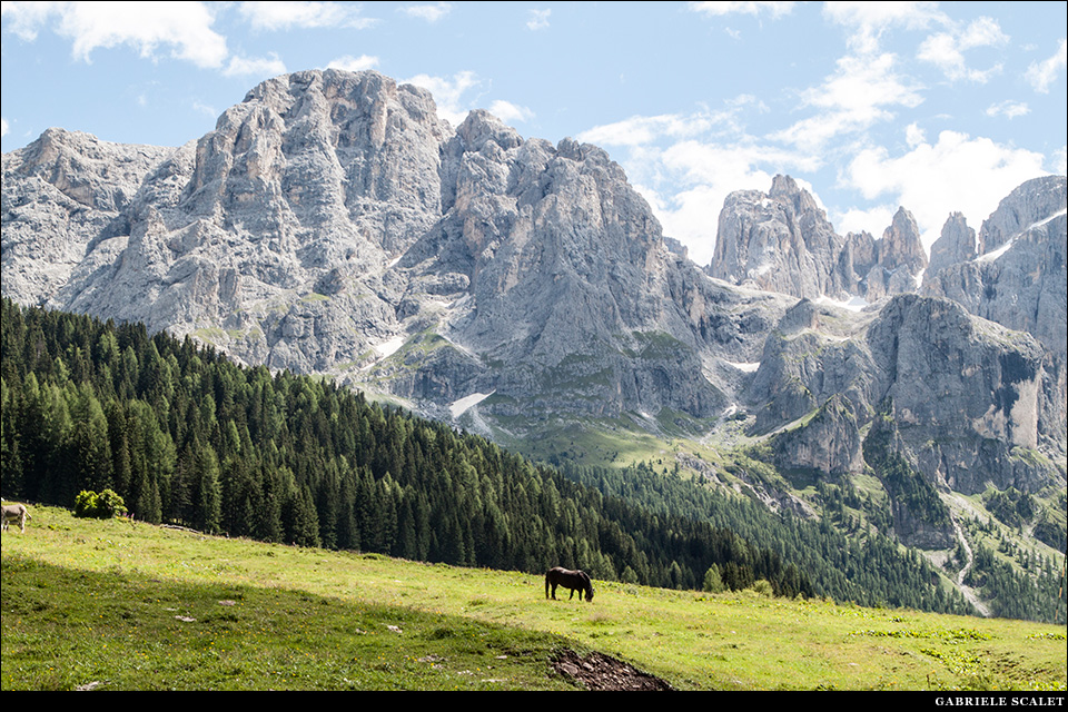 Val Venegia / Venegiota