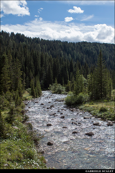 Val Venegia / Venegiota
