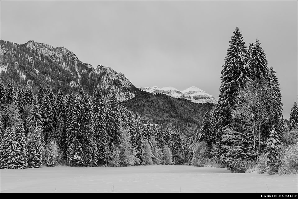 Val Canali d'inverno