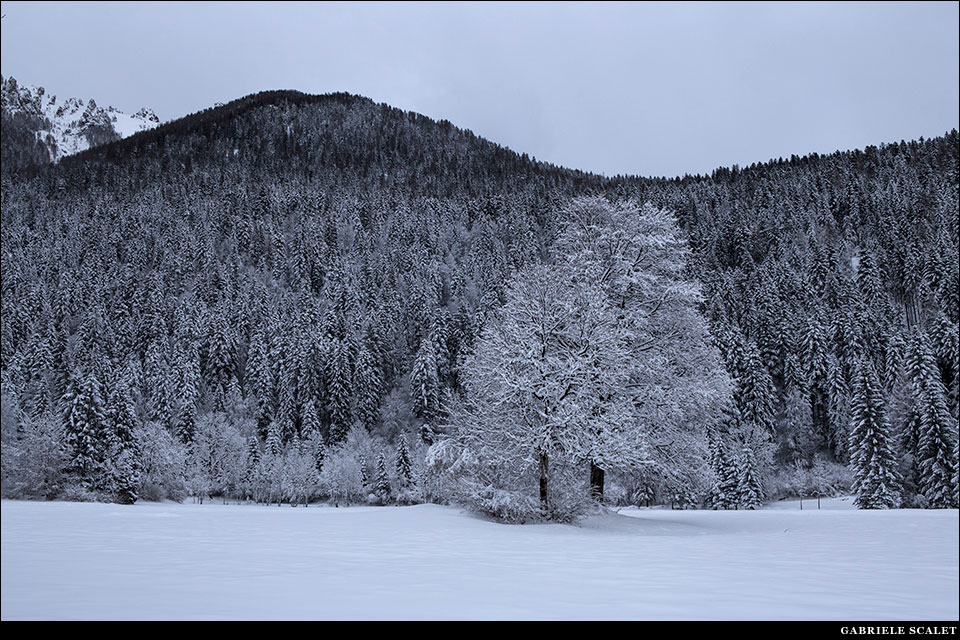 Val Canali d'inverno