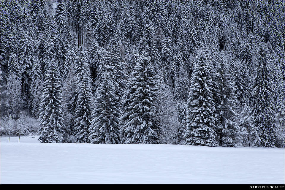 Val Canali d'inverno