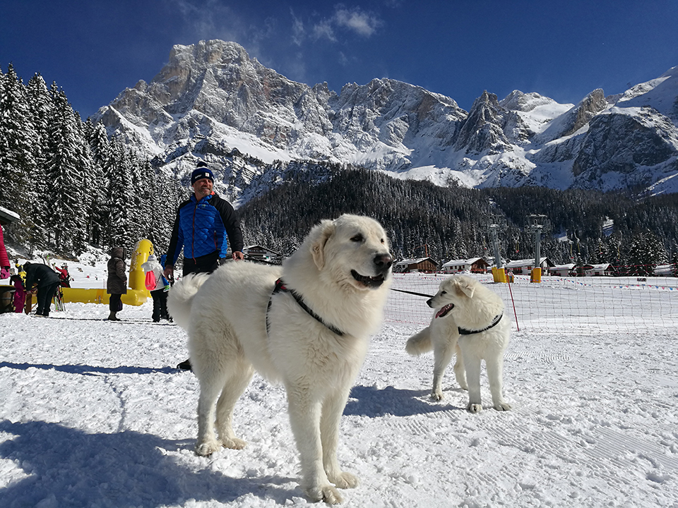 Val Venegia 2018