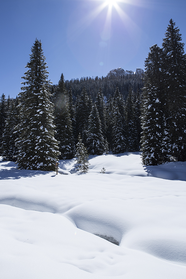 Val Venegia 2018