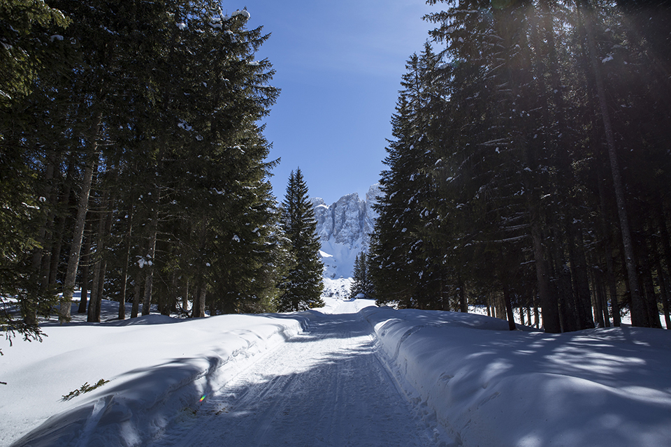 Val Venegia 2018