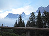 Vista