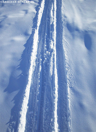 tracce